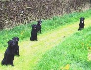 Able sitzt rechts aussen